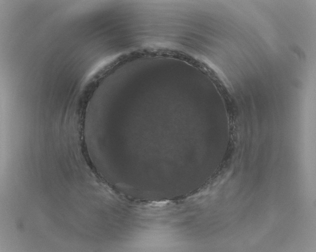 X0000115320919200911231347