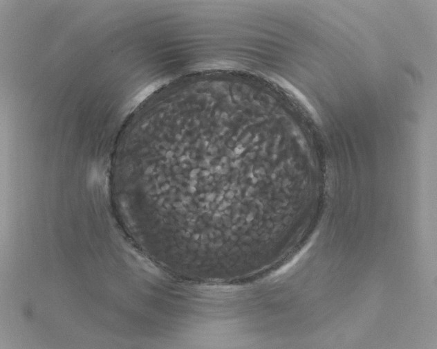 X0000115320921200911231347