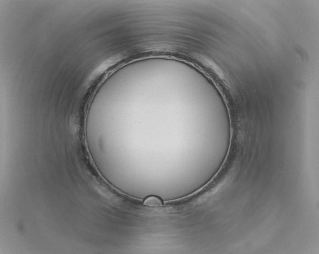 X0000115320922200911231347