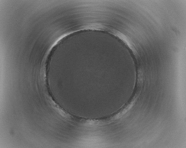 X0000115320923200911231347