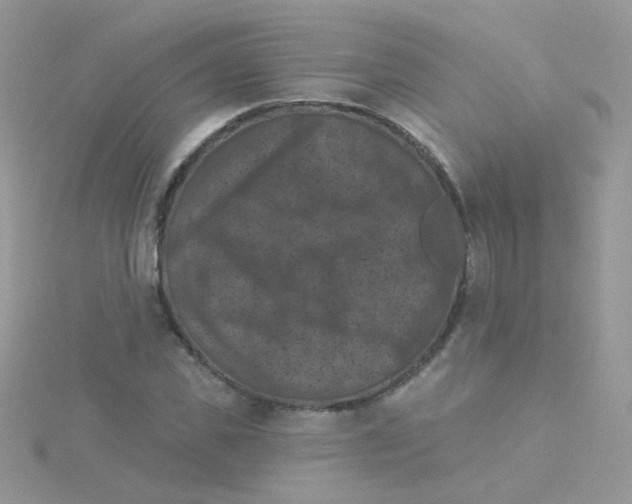 X0000115320925200911231347