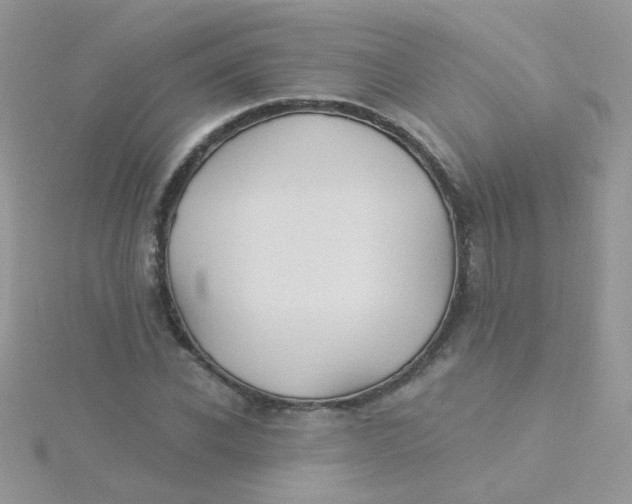 X0000115320926200911231347