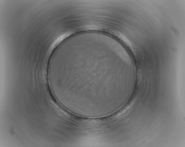 X0000115320930200911231347