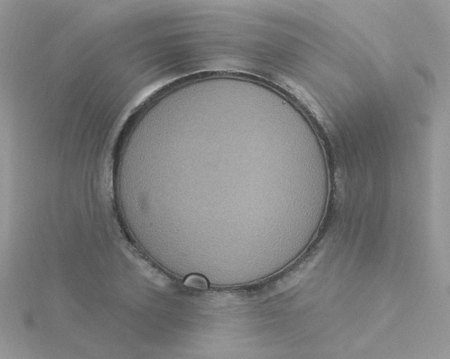 X0000115320931200911231347