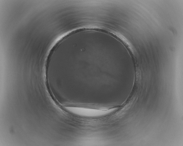 X0000115320935200911231347