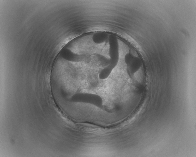 X0000115320937200911231347