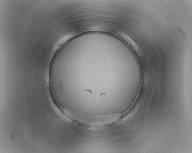 X0000115320938200911231347