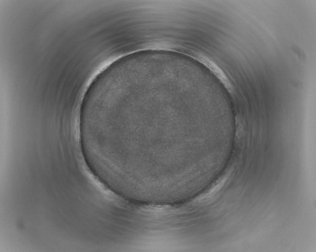 X0000115320939200911231347