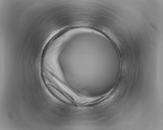 X0000115320941200911231347