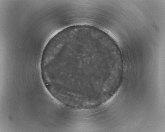 X0000115320943200911231347