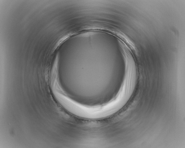 X0000115320945200911231347