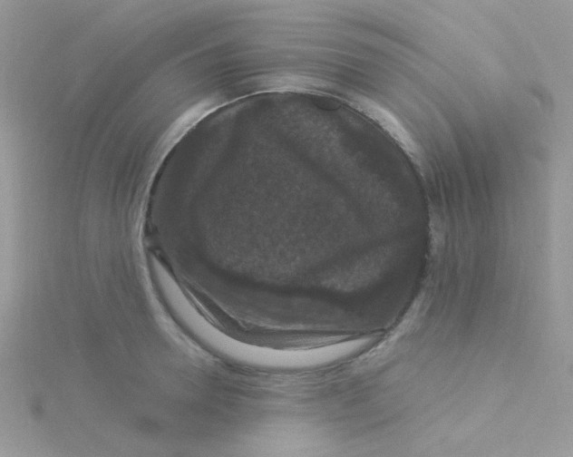 X0000115320946200911231347