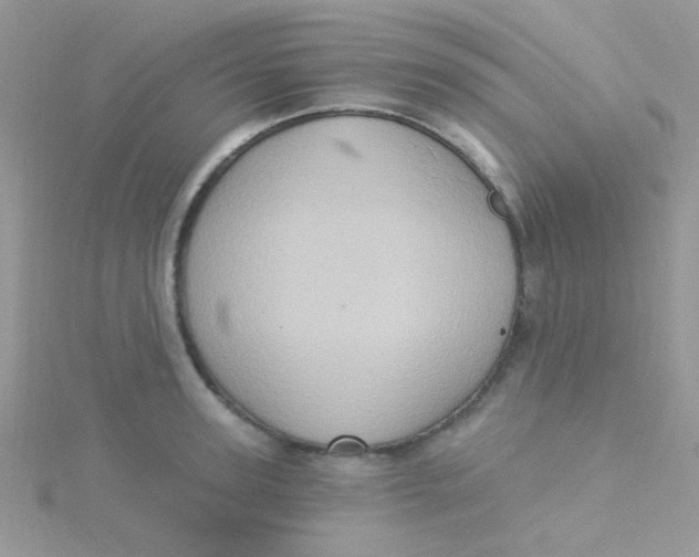 X0000115320947200911231347