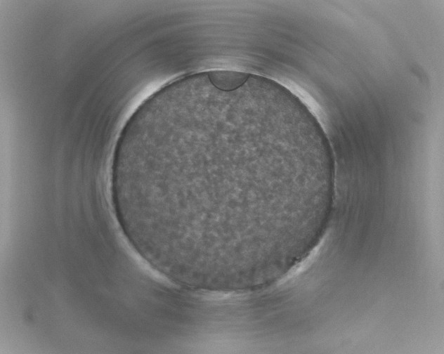 X0000115320949200911231348