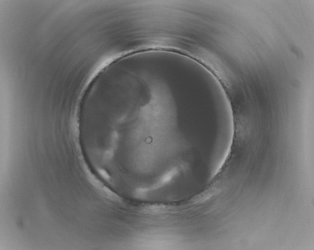 X0000115320950200911231348