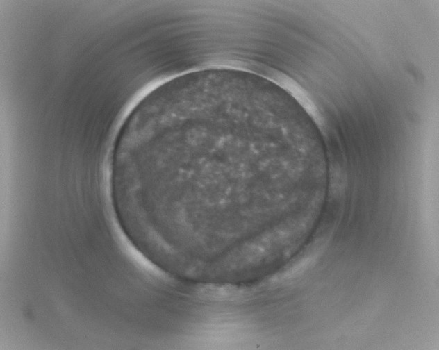 X0000115320955200911231348