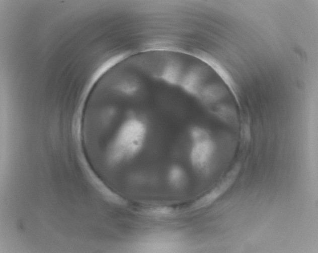 X0000115320957200911231348