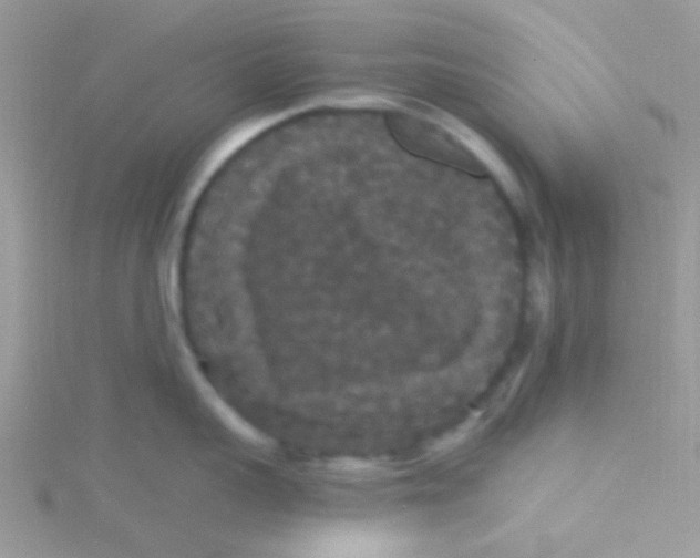 X0000115320959200911231348