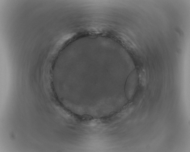 X0000115320961200911231347