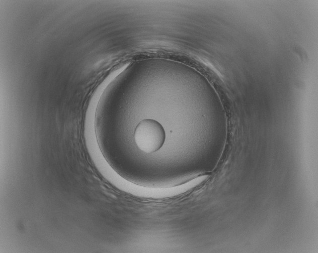 X0000115320965200911231347