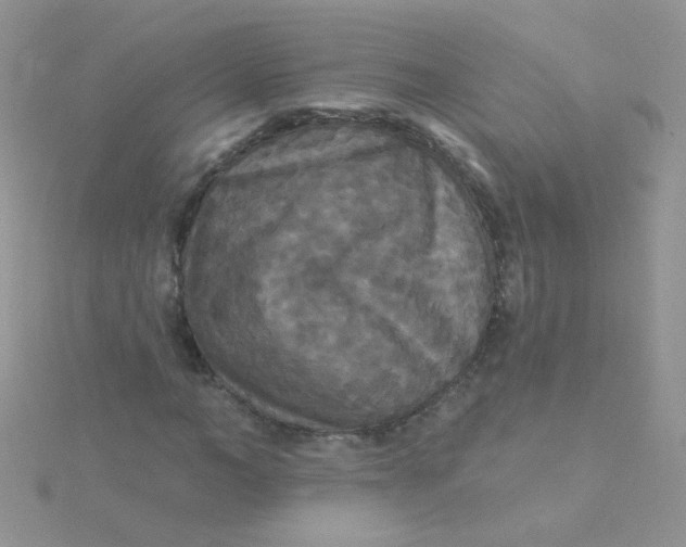 X0000115320966200911231347