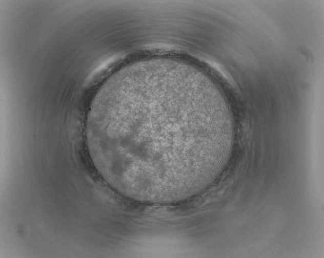 X0000115320967200911231347