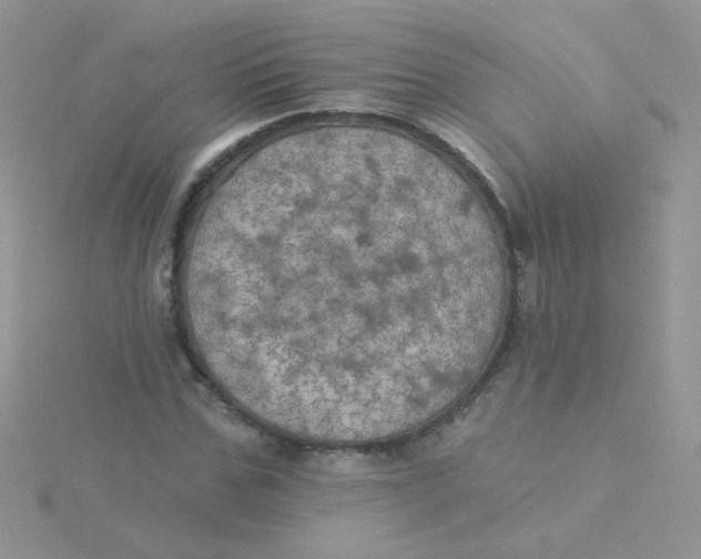 X0000115320971200911231347