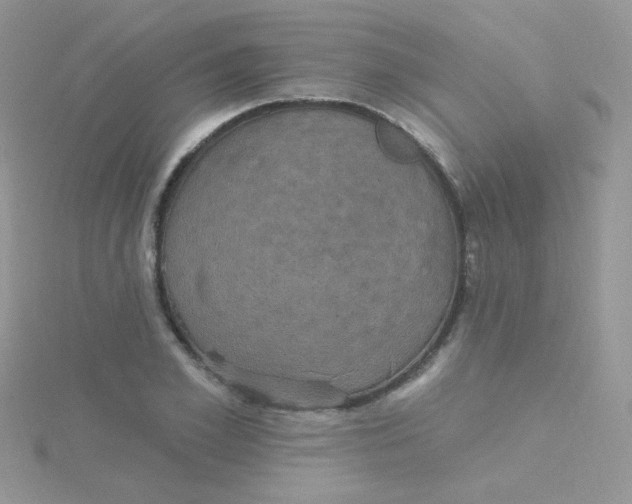 X0000115320981200911231347