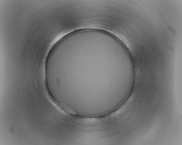 X0000115320982200911231347