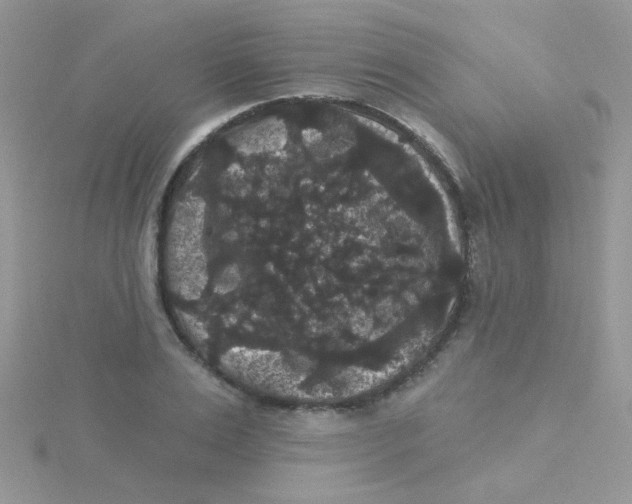 X0000115320983200911231347