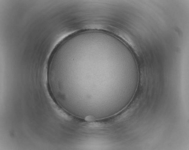 X0000115320984200911231347