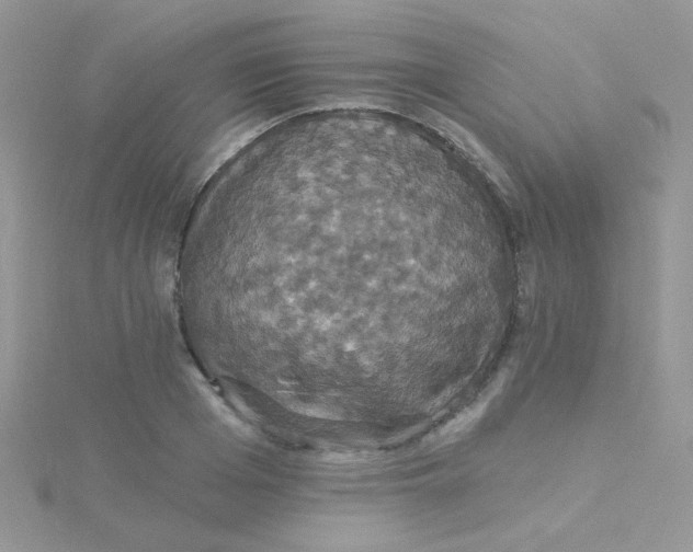 X0000115320985200911231347