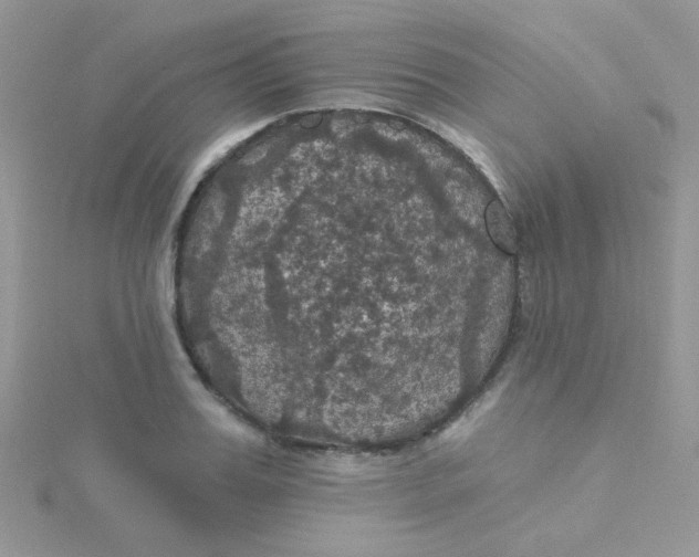 X0000115320987200911231347