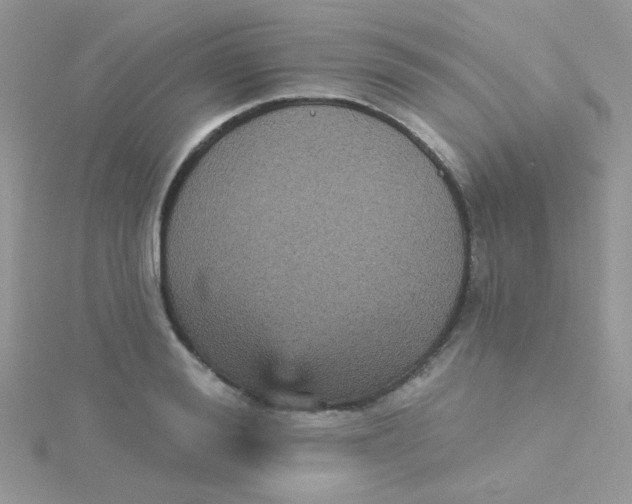 X0000115320988200911231347