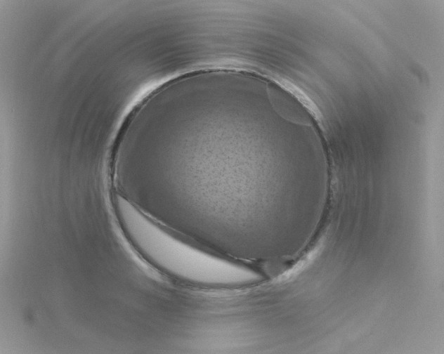 X0000115320989200911231347