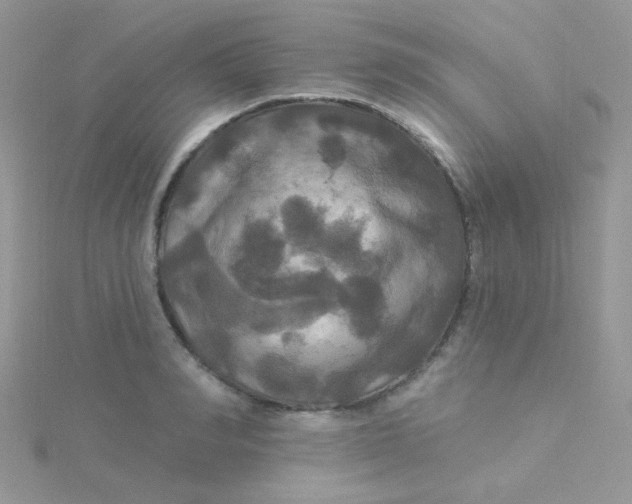 X0000115320990200911231346