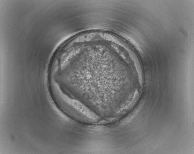 X0000115320991200911231346