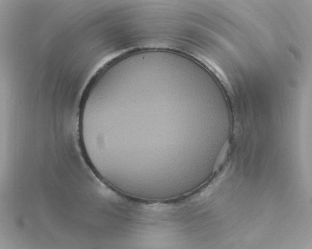 X0000115320992200911231346