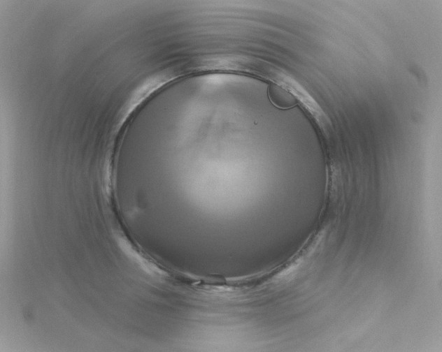 X0000115320994200911231346