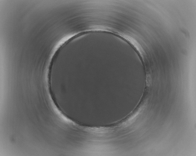 X0000115320995200911231346