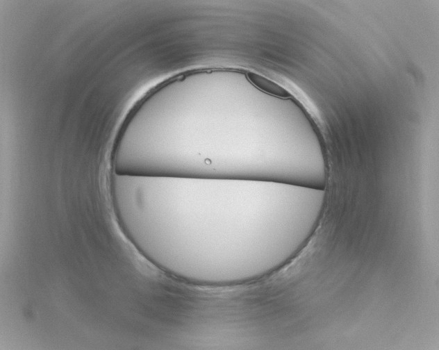 X0000115320996200911231346