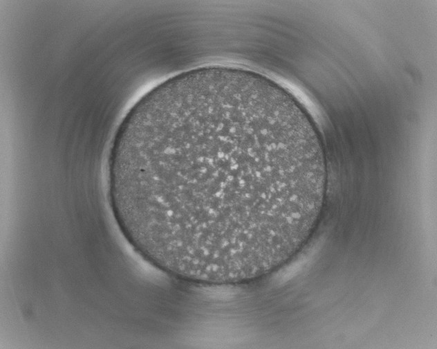 X0000115320999200911231346