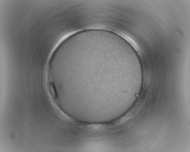 X0000115321000200911231346