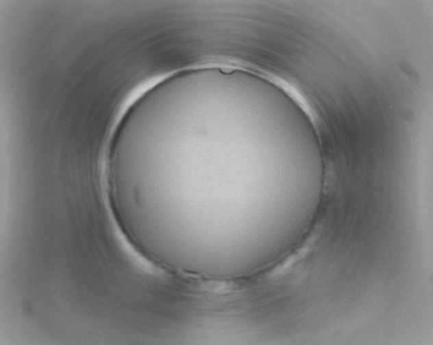 X0000115321003200911231346