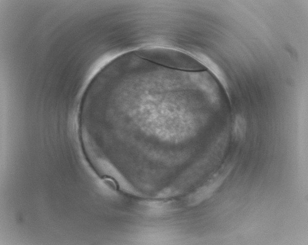 X0000115321005200911231346