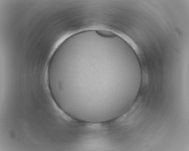 X0000115321006200911231346