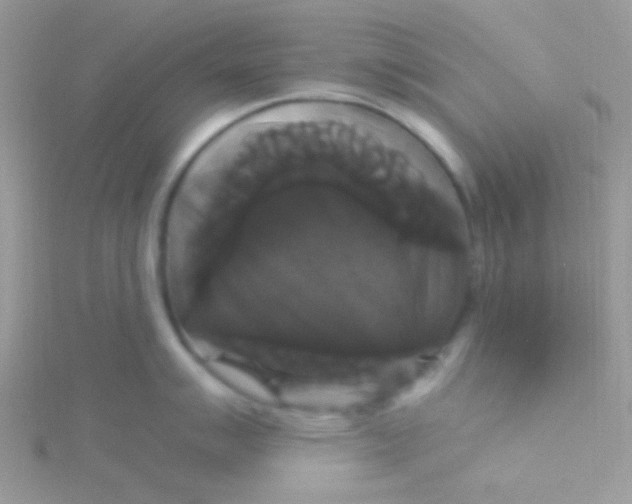 X0000115321007200911231346