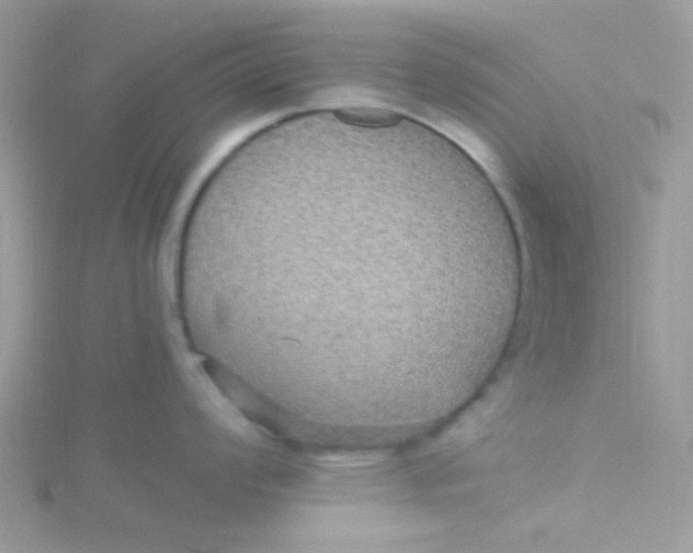 X0000115321008200911231346