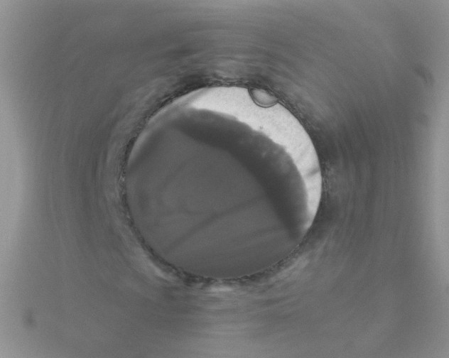 X0000115321009200911231346