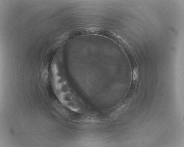 X0000115321011200911231346